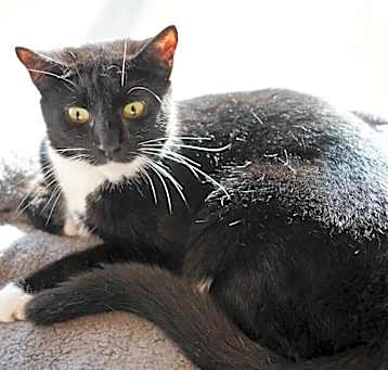 Photo of Lucia