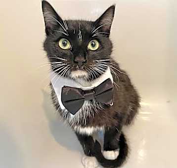 Photo of Bubbles