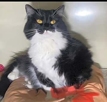 Photo of Buffy