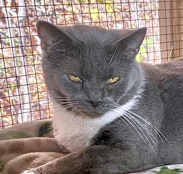 Photo of Stella