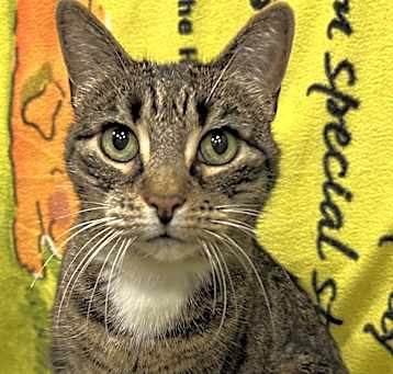Photo of Alice