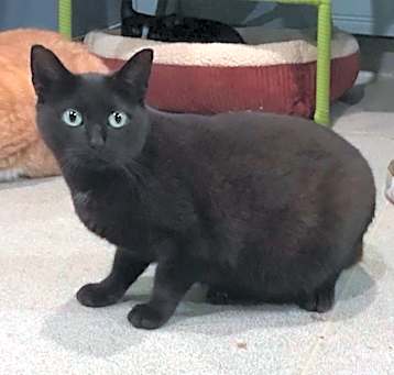 Photo of Sabrina