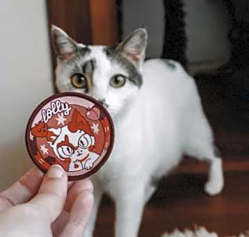 Photo of LOLLY
