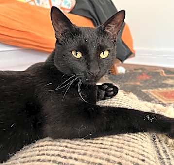 Photo of PUMA
