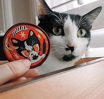 Photo of MITZI