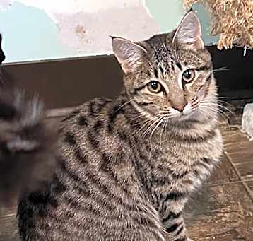 Photo of Mikhail