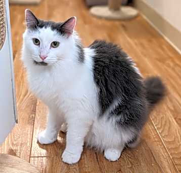 Photo of Murph