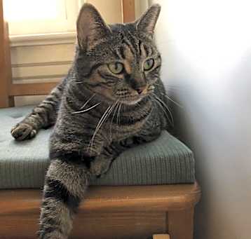 Photo of Della