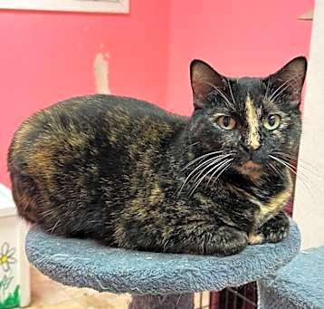 Photo of Annie Bananie