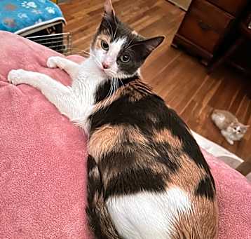Photo of Duchess