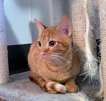 Photo of Theodore