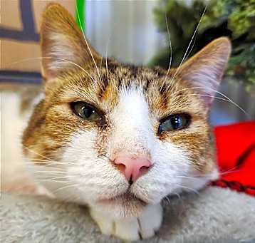 Photo of O'Malley