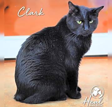Photo of Clark
