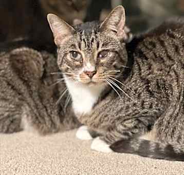 Photo of Gravy