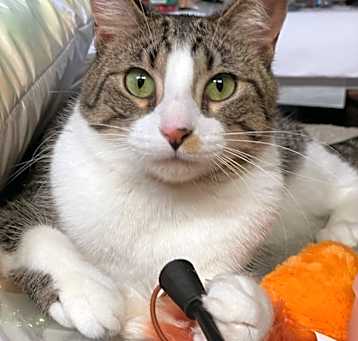 Photo of Frodo