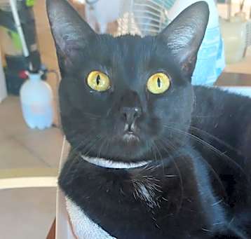Photo of Powder