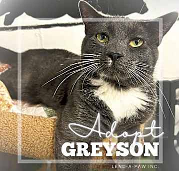 Photo of Greyson
