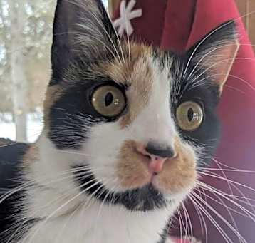 Photo of Ruthie