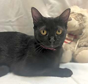 Photo of Edna