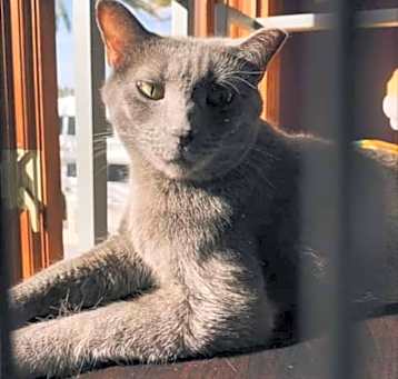 Photo of Lulu