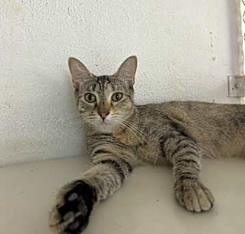 Photo of Emely