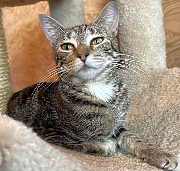 Photo of Beatrice