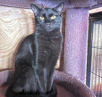 Photo of Yaddie