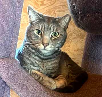 Photo of Oddball