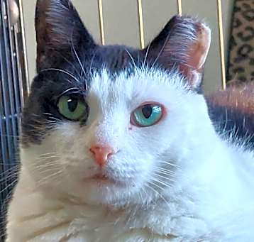 Photo of Lizzy B. (I have a Secret Crush!)