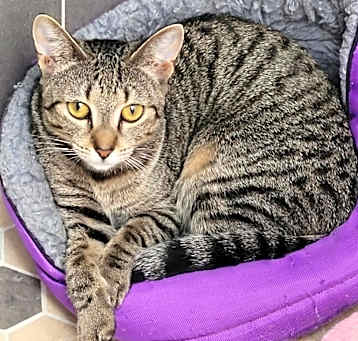 Photo of Estelle