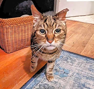 Photo of Kiki