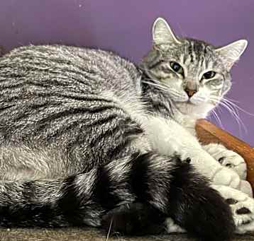 Photo of Silvie