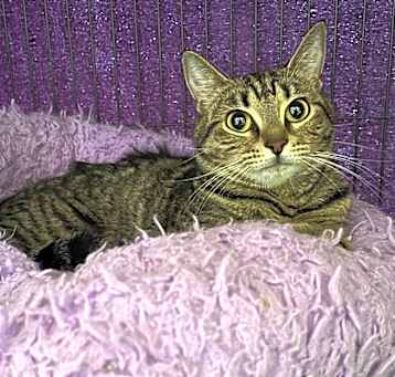 Photo of Leena