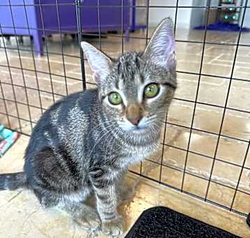 Photo of Mystique