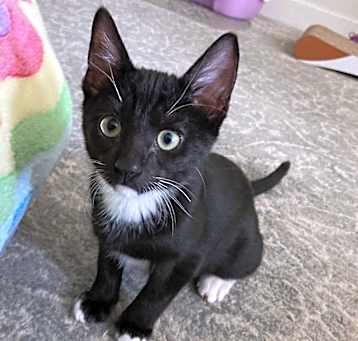 Photo of Ernie