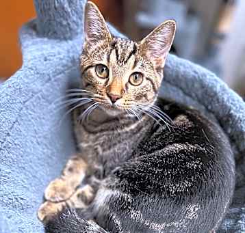 Photo of Monica