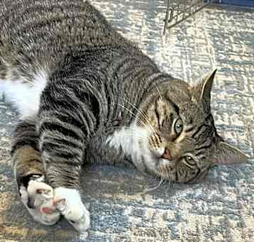 Photo of Fidget
