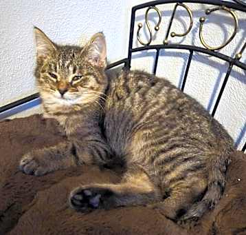 Photo of Ralphie