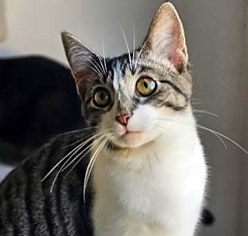Photo of Dory 86C24