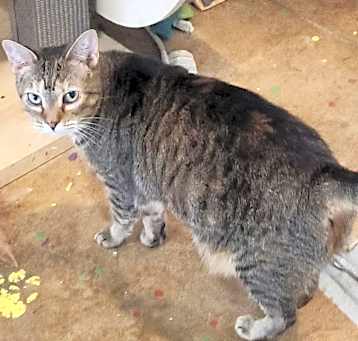 Photo of Lilly
