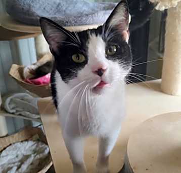 Photo of Stormy