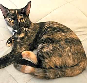 Photo of Lenore