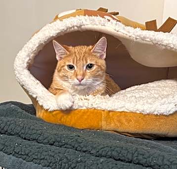 Photo of Flynn