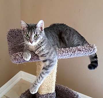 Photo of Misto