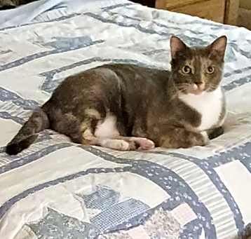 Photo of Alice