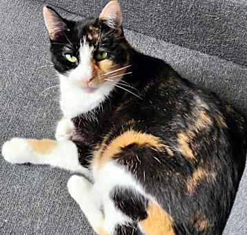 Photo of Lenore