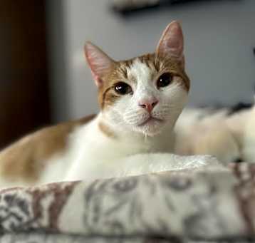 Photo of Olaf