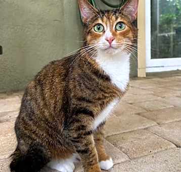 Photo of Clarice