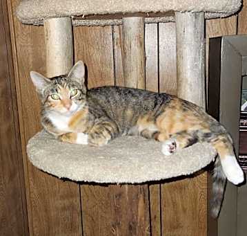 Photo of Hilly