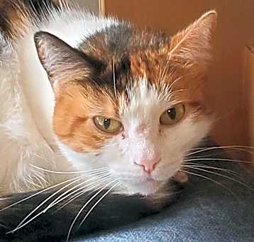 Photo of Zoe